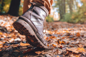 Autumn at Ingleton Waterfalls Trail