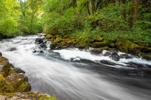 Ingleton Waterfalls Trail