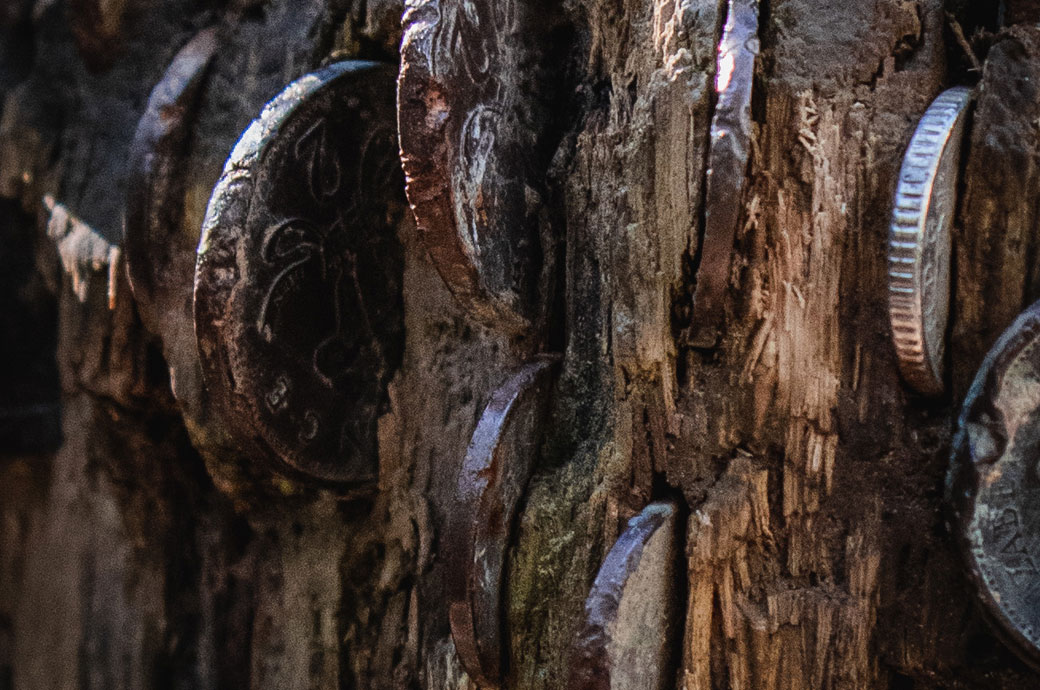 Ingleton Waterfalls Trail - Money Tree